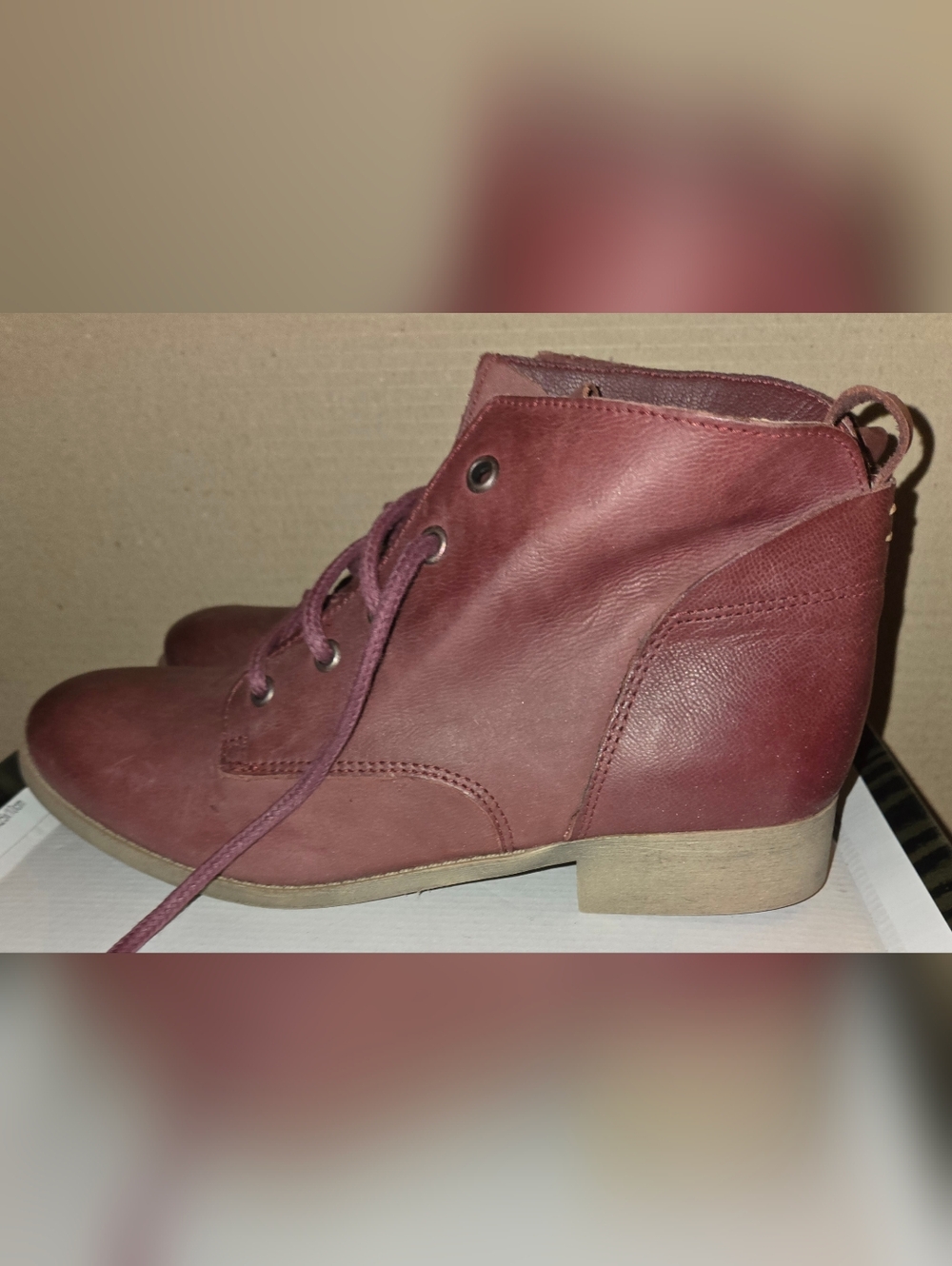 BNIB Women's Steve Madden Rubin Burgundy Leather Ankle Desert Boot Sz 10 M